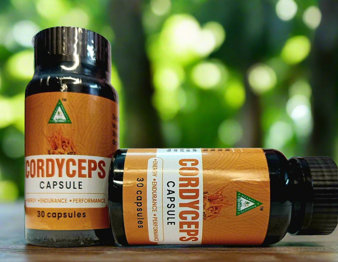 Cordyceps Capsules 800 mg (for males)