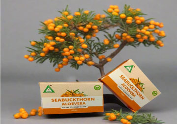 herbal-pure-Supplements