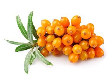herbal-pure-Supplements