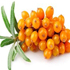 herbal-pure-footer-recent-post-2
