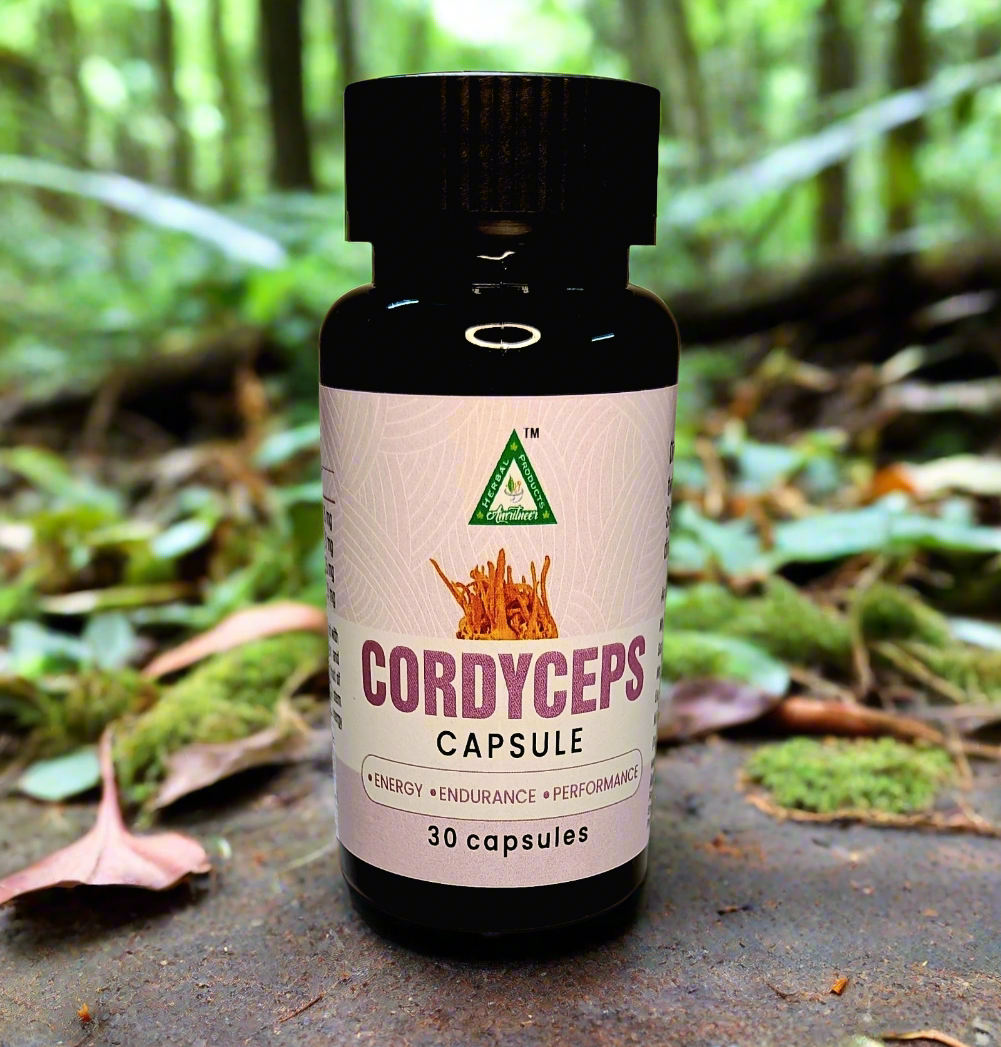 Cordyceps Capsules (500 mg)