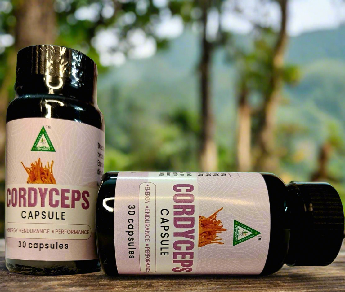 Cordyceps Capsules (500 mg)